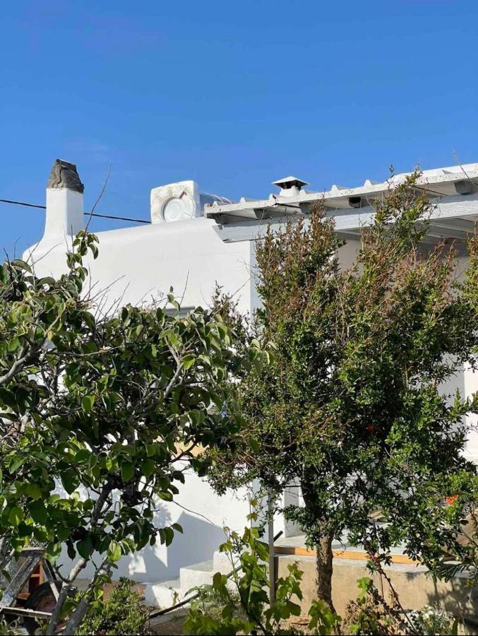 Alesta Lejlighed Mykonos Town Eksteriør billede